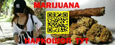 гашик Моздок