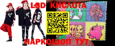 гашик Моздок