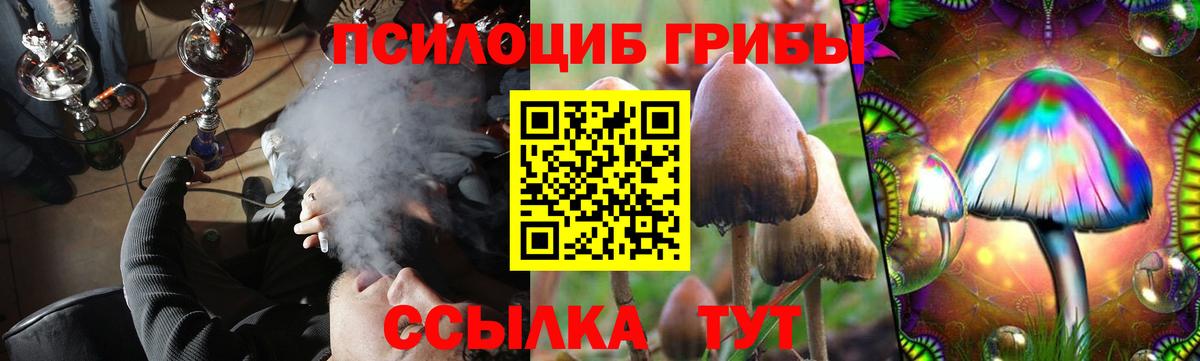 Тольятти  Псилоцибиновые грибы Psilocybine cubensis  где можно купить наркотик  Галлюциногенные грибы мухоморы  Вход с VPN 