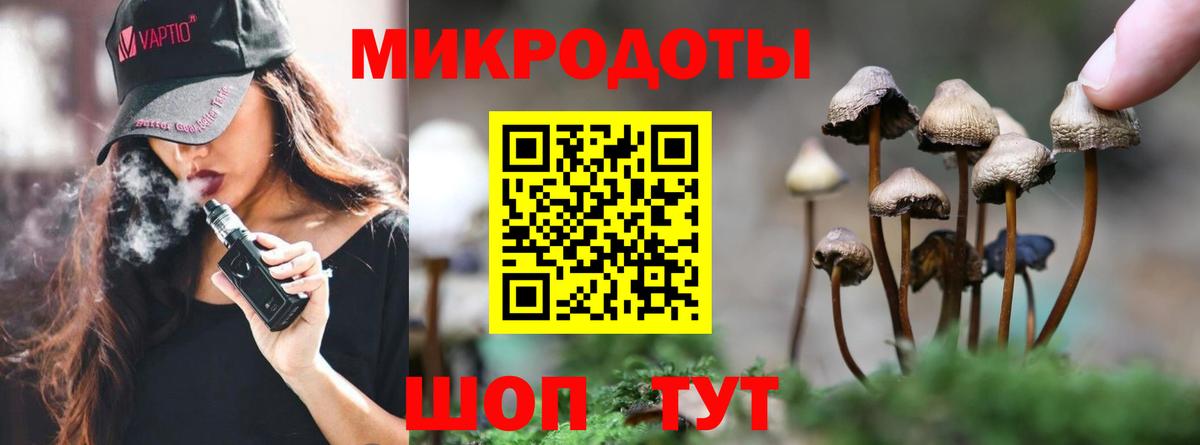 Галлюциногенные грибы прущие грибы Тольятти